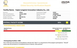 祝賀福建龍美創(chuàng)新有限公司2023年快速通過(guò)ITS-GSV驗(yàn)廠